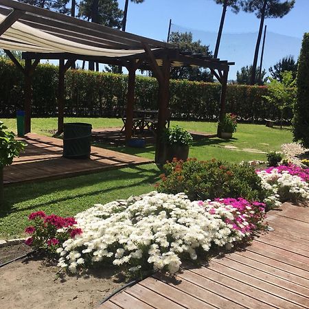 Villa De Lux With Pool Quinta do Anjo Ngoại thất bức ảnh