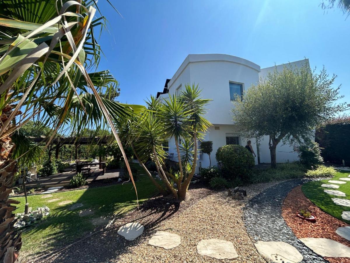 Villa De Lux With Pool Quinta do Anjo Ngoại thất bức ảnh
